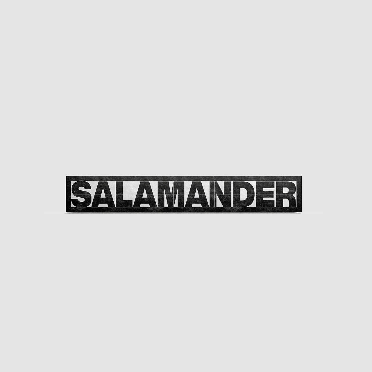salamander-inc-grid(图ZNDA2MTI0MTI4) - 品牌 - 站酷设计师YujianHuang原创素材 - 站酷ZCOOL