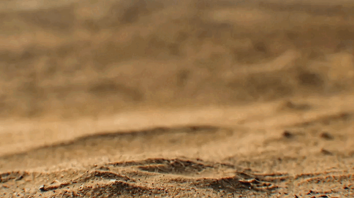 422世界地球日，特仑苏邀你提前看“球赛”（图ZNDA2MTMxMzEy） - 短片 - 站酷设计师BU蓝昊原创素材 - 站酷ZCOOL