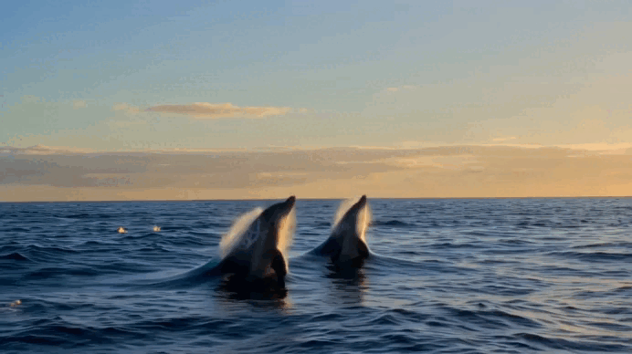 422世界地球日，特仑苏邀你提前看“球赛”（图ZNDA2MTMxMzM2） - 短片 - 站酷设计师BU蓝昊原创素材 - 站酷ZCOOL