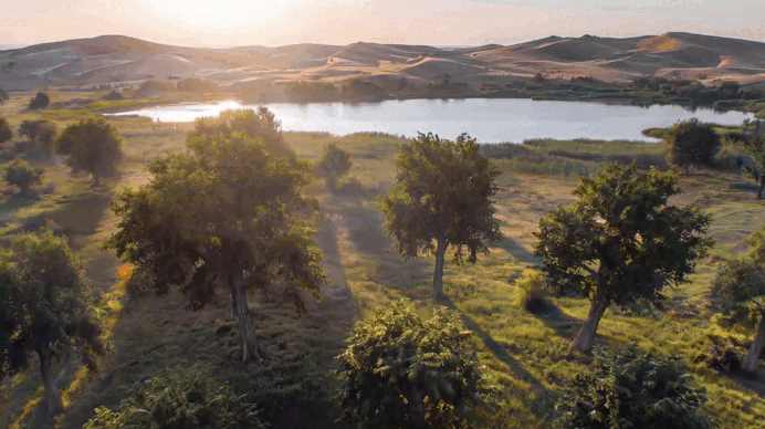 422世界地球日，特仑苏邀你提前看“球赛”（图ZNDA2MTMxNDMy） - 短片 - 站酷设计师BU蓝昊原创素材 - 站酷ZCOOL