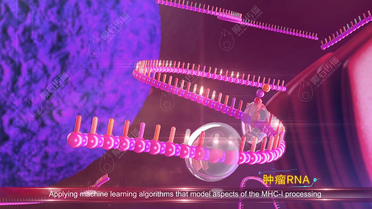 超立体深圳医疗动画，拆解各类医疗技术（图ZNDA2MTMyOTM2） - 动画片 - 站酷设计师陨石三维动画阿容原创素材 - 站酷ZCOOL