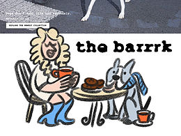 給美國寵物品牌 the barrrk 的網(wǎng)站插畫