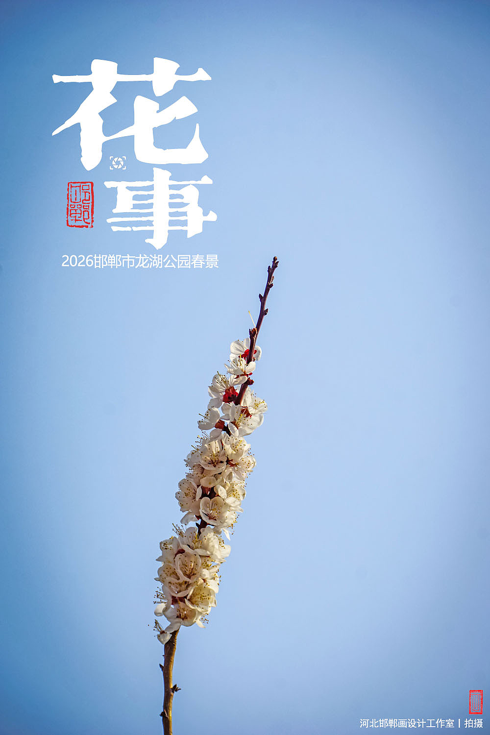 花事（图ZNDA2MTUxMDg4） - 人文/纪实摄影 - 站酷设计师画设计原创素材 - 站酷ZCOOL