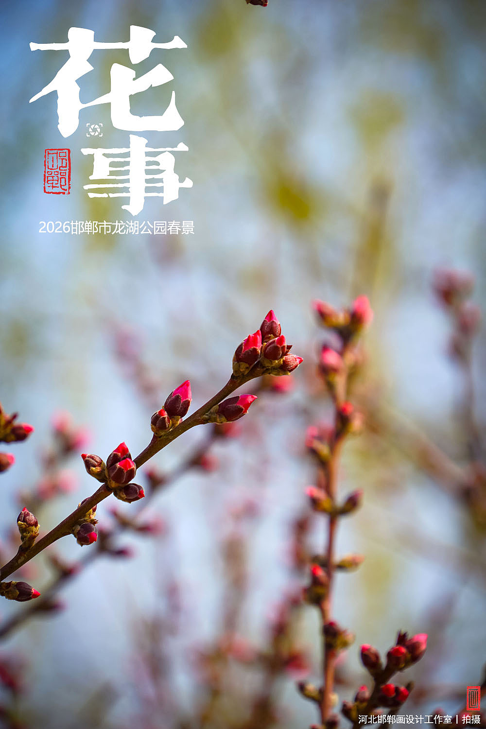 花事（图ZNDA2MTUxMDc2） - 人文/纪实摄影 - 站酷设计师画设计原创素材 - 站酷ZCOOL