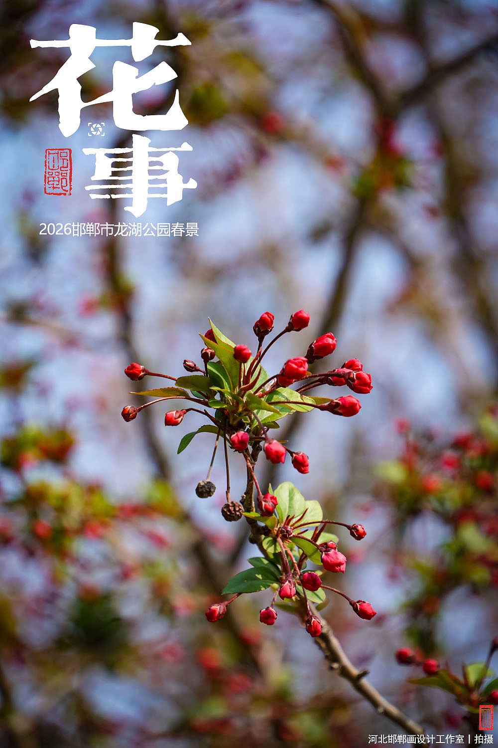 花事（图ZNDA2MTUxMDg0） - 人文/纪实摄影 - 站酷设计师画设计原创素材 - 站酷ZCOOL