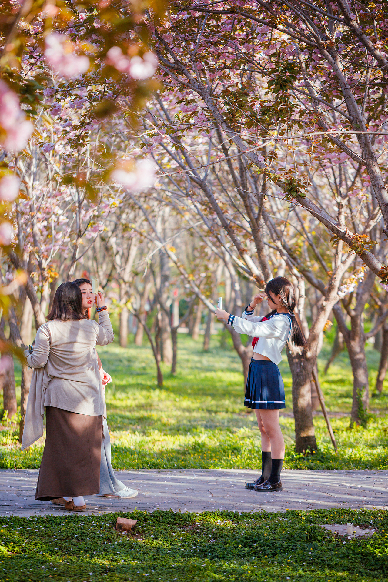 魏祠晚樱（图ZNDA2MTUyMjg4） - 其他摄影 - 站酷设计师pear1103原创素材 - 站酷ZCOOL