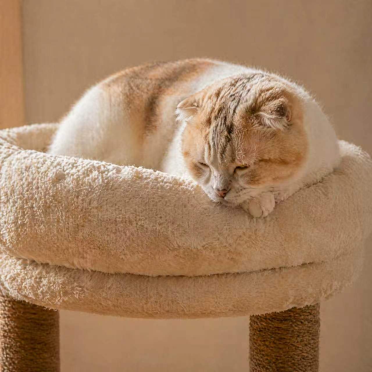 慵懒的午后（图ZNDA2MTYyNzMy） - 产品摄影 - 站酷设计师东莞家具产品摄影原创素材 - 站酷ZCOOL