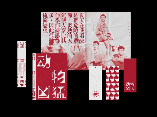探索字体版式设计的情绪化解构表达|王朔《动物凶猛》