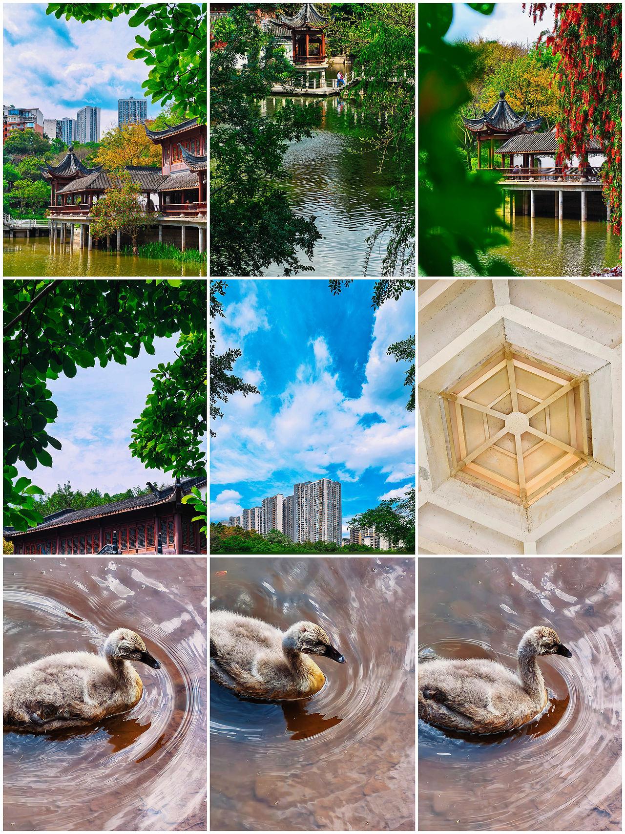 石门公园，闹市中私藏的宝藏取景地（图ZNDA2MTk3MjI0） - 风光摄影 - 站酷设计师图龙摄影原创素材 - 站酷ZCOOL