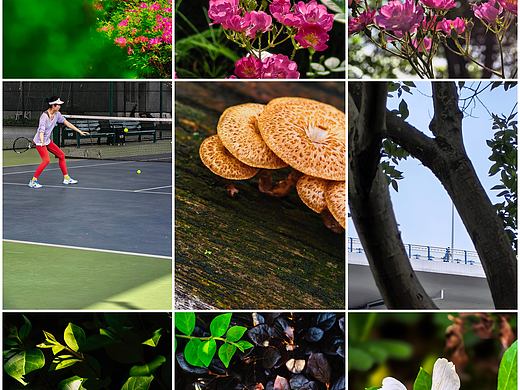 手机摄影笔记｜随手一拍，春天的小惊喜全在镜头里