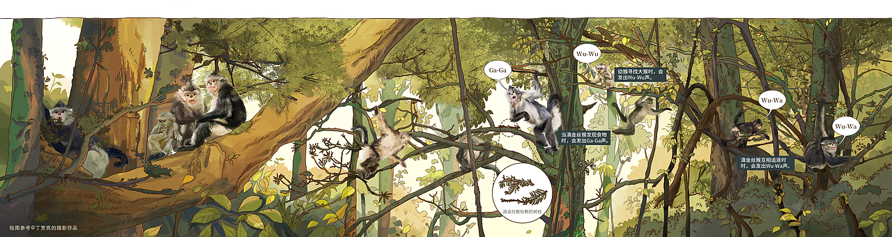 滇金丝猴手绘 | 图书插画（图ZNDA2MjI3Mjg4） - 商业插画 - 站酷设计师王天咦原创素材 - 站酷ZCOOL