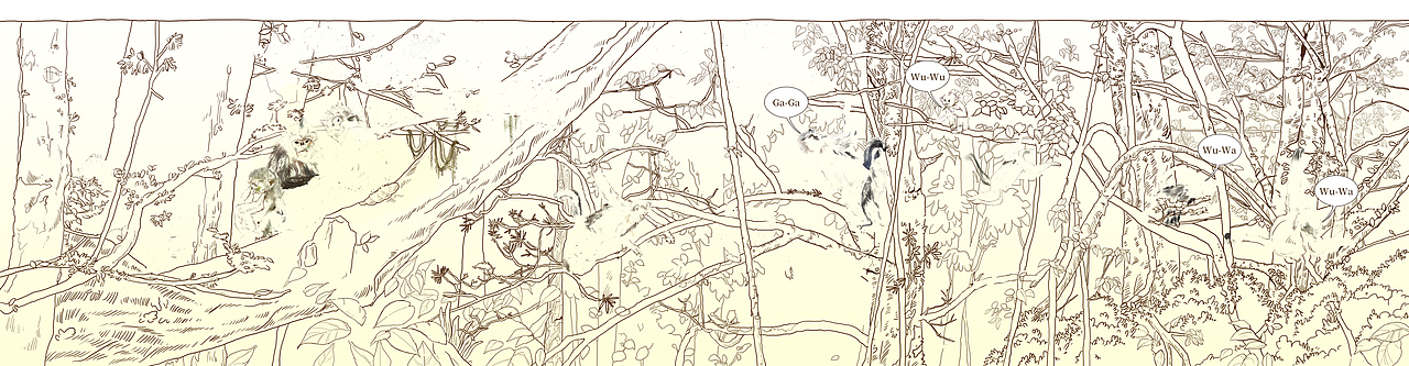 滇金丝猴手绘 | 图书插画（图ZNDA2MjI3NDg4） - 商业插画 - 站酷设计师王天咦原创素材 - 站酷ZCOOL