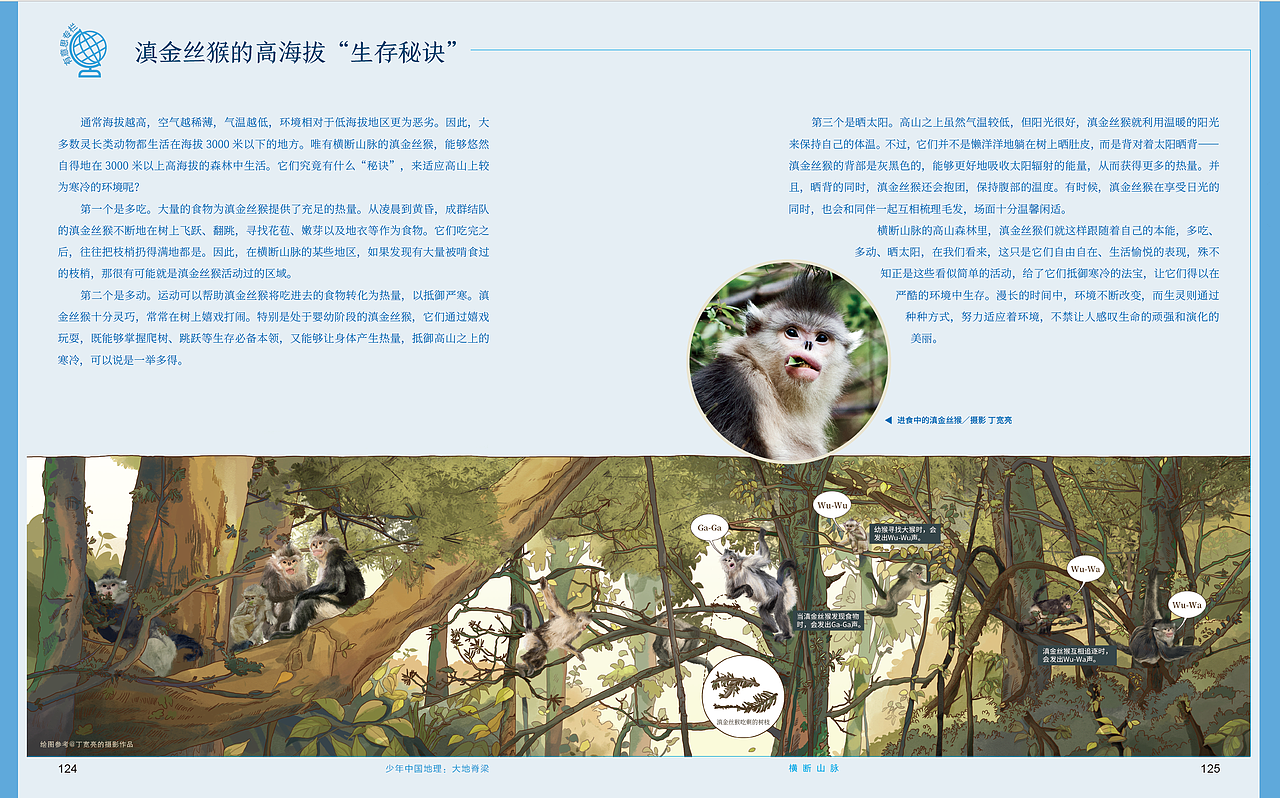 滇金丝猴手绘 | 图书插画（图ZNDA2MjI3NDky） - 商业插画 - 站酷设计师王天咦原创素材 - 站酷ZCOOL