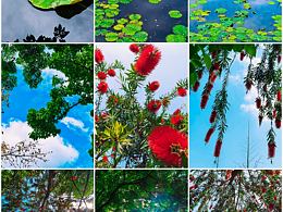 镜头锁住初夏鲜活，清凉感扑面而来