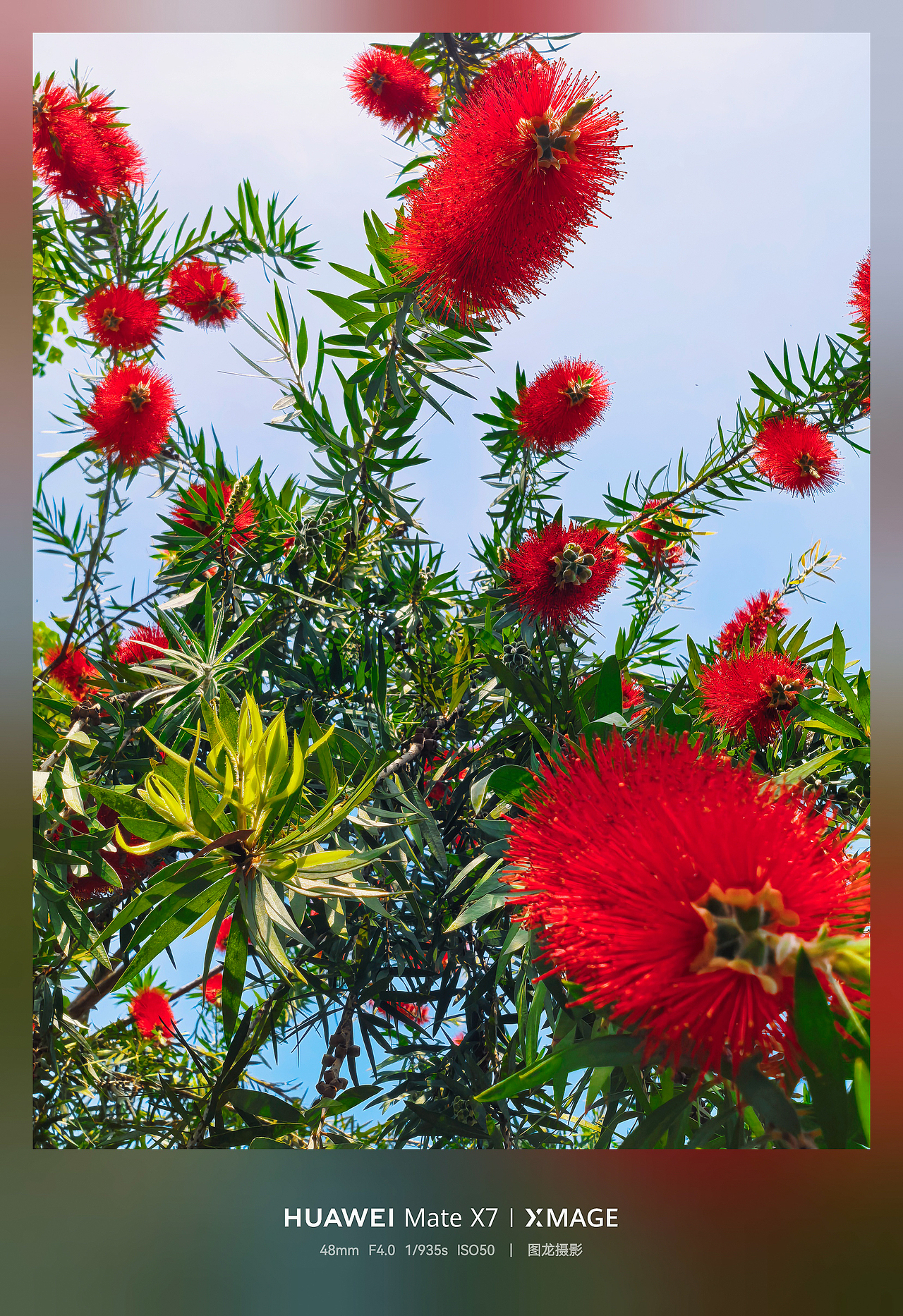 镜头锁住初夏鲜活，清凉感扑面而来（图ZNDA2MjI4MTI0） - 风光摄影 - 站酷设计师图龙摄影原创素材 - 站酷ZCOOL