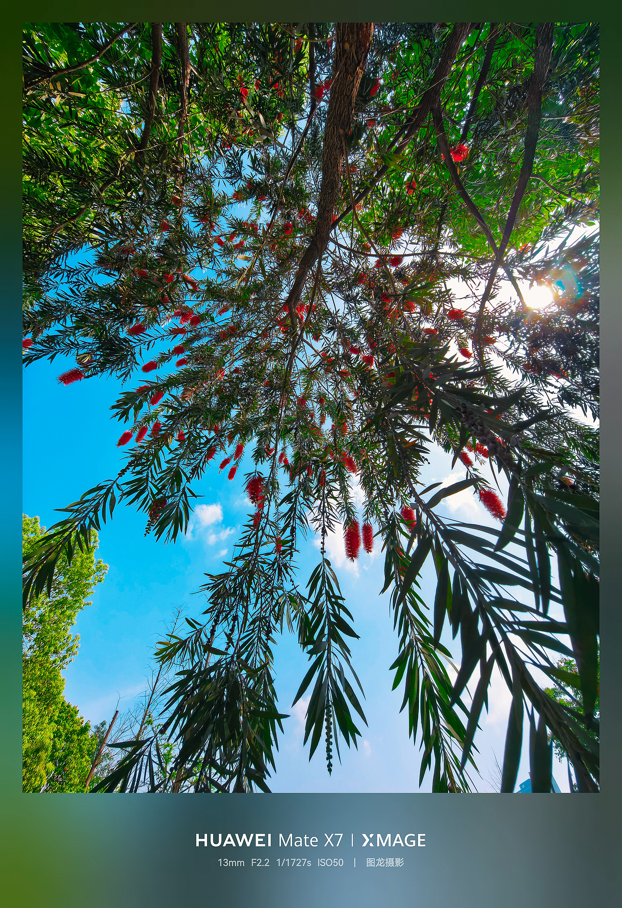 镜头锁住初夏鲜活，清凉感扑面而来（图ZNDA2MjI4MTM2） - 风光摄影 - 站酷设计师图龙摄影原创素材 - 站酷ZCOOL