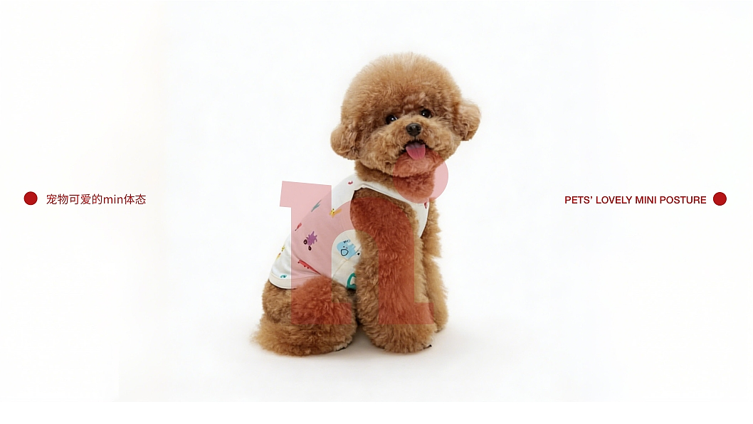 min'paw宠物品牌（图ZNDA2MjM3ODgw） - 品牌 - 站酷设计师煎饼狗子d原创素材 - 站酷ZCOOL