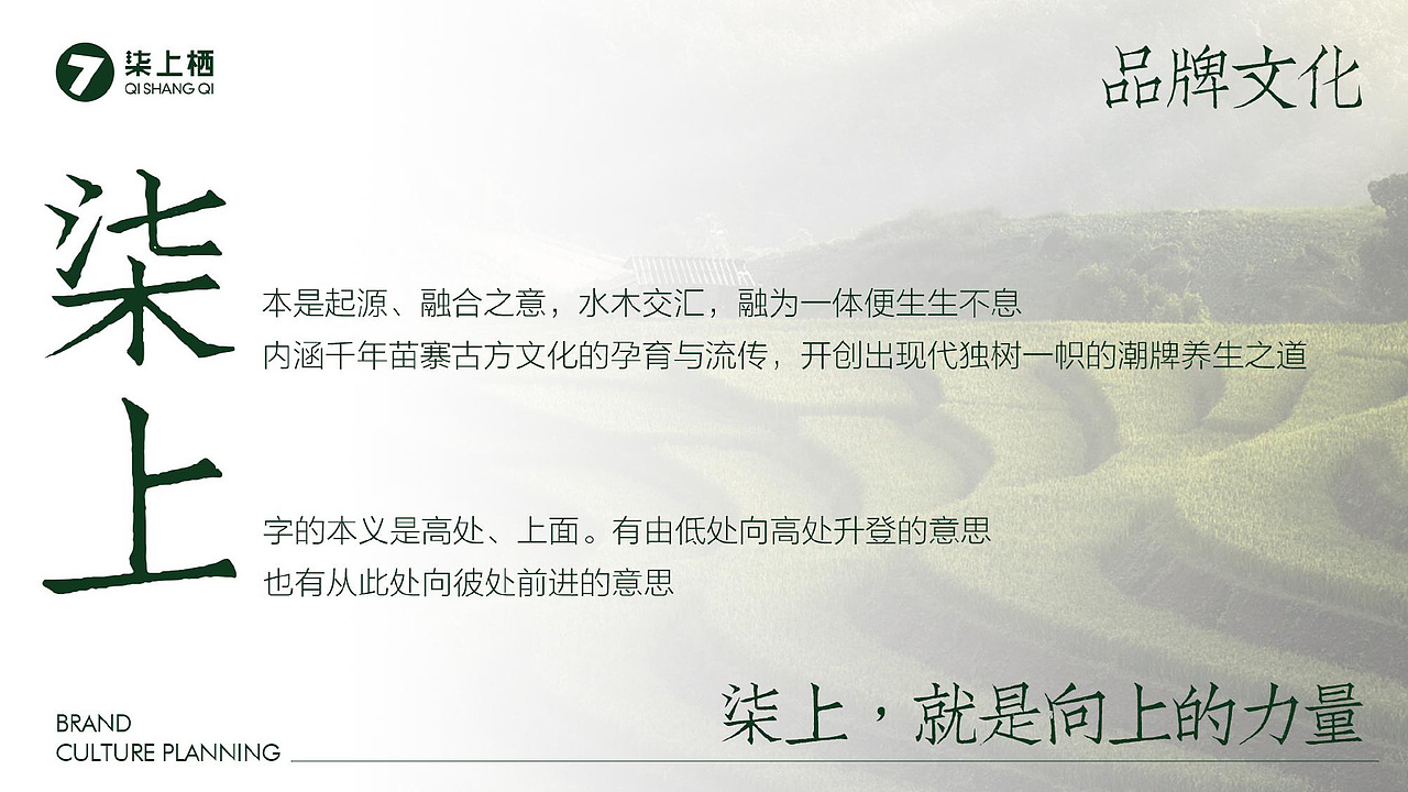 柒上栖——头皮养护专家（图ZNDA2MjcwODUy） - 品牌 - 站酷设计师Liuqian_KRIS原创素材 - 站酷ZCOOL