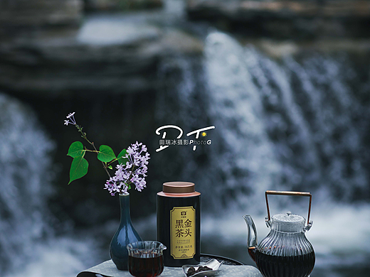 黑金茶头普洱