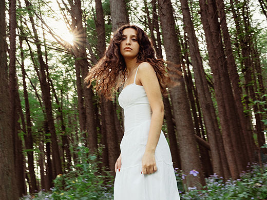 像草木一样自在生长