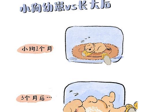 小狗长大