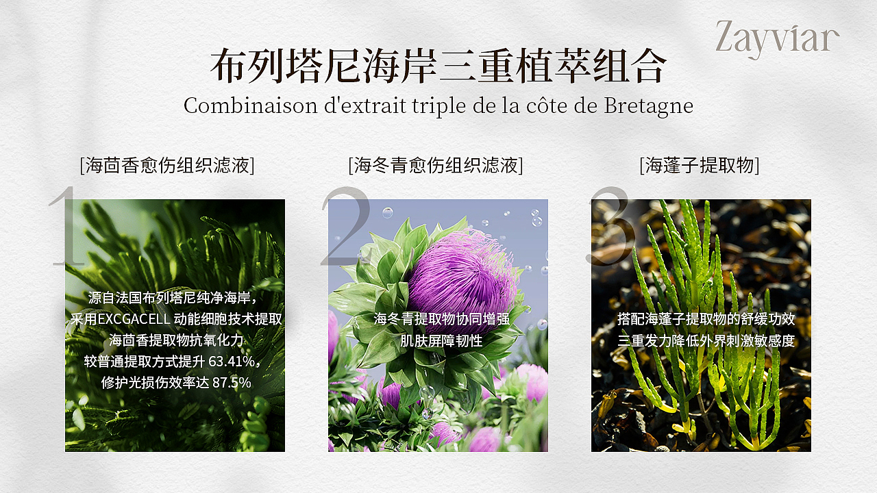 ppt（图ZNDA2Mjk5OTg4） - 其他平面 - 站酷设计师希望阿0不长肉原创素材 - 站酷ZCOOL