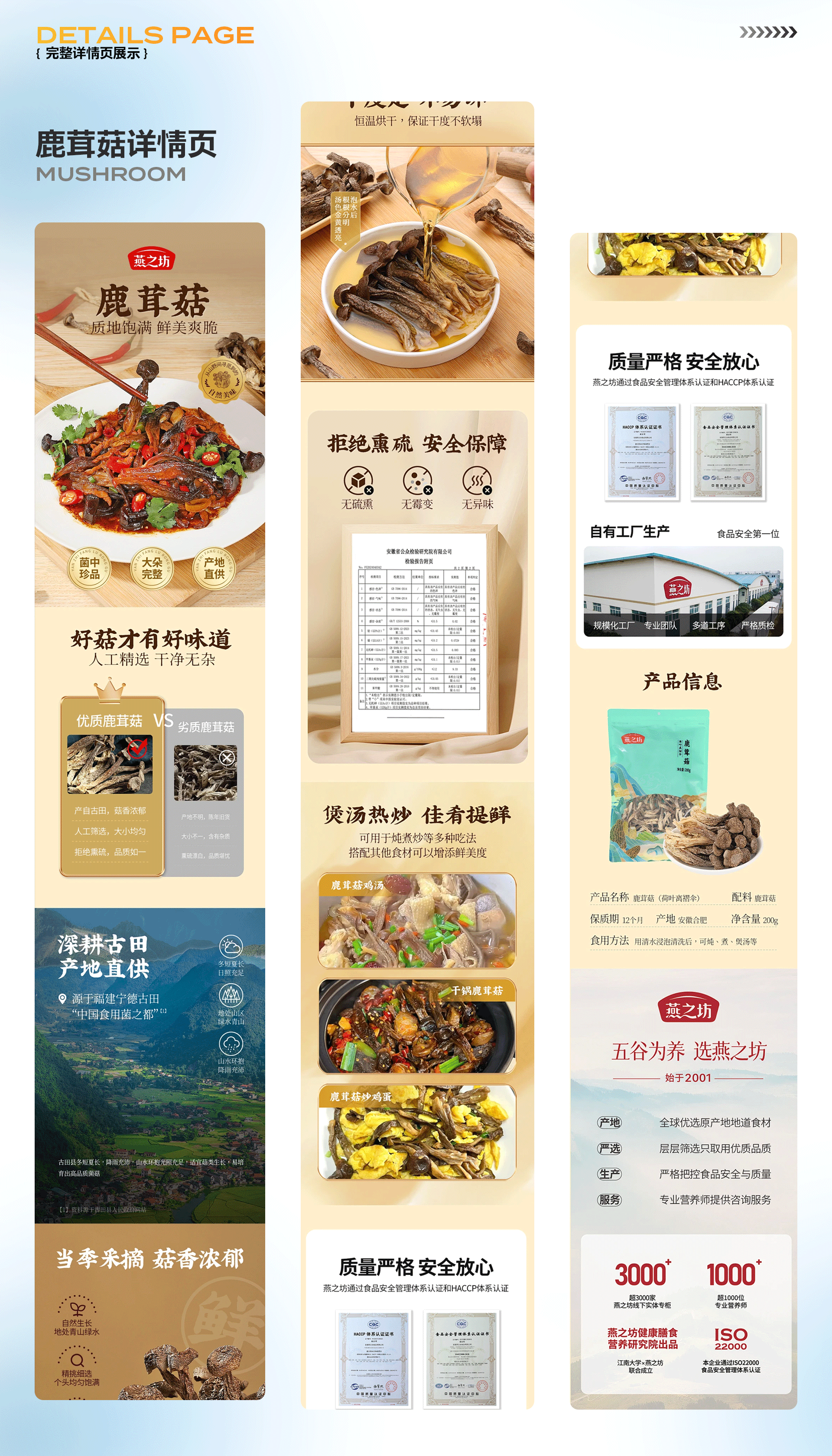 2023-2026作品合集（求职作品集)（图ZNDA2MzA1MjMy） - 包装 - 站酷设计师何年月不缺原创素材 - 站酷ZCOOL