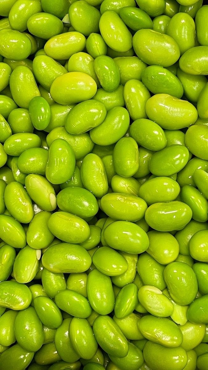 市井清鲜记：一场与蔬菜共呼吸的市集漫游（图ZNDA2MzA1Mzg0） - 时尚/艺术摄影 - 站酷设计师一小迷糊一原创素材 - 站酷ZCOOL