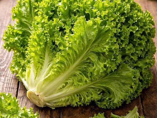 市井清鲜记：一场与蔬菜共呼吸的市集漫游