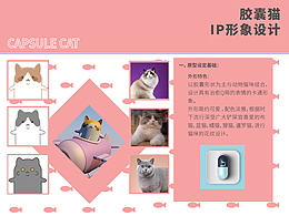 猫咪IP
