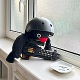 厉飞雨Yu的头像