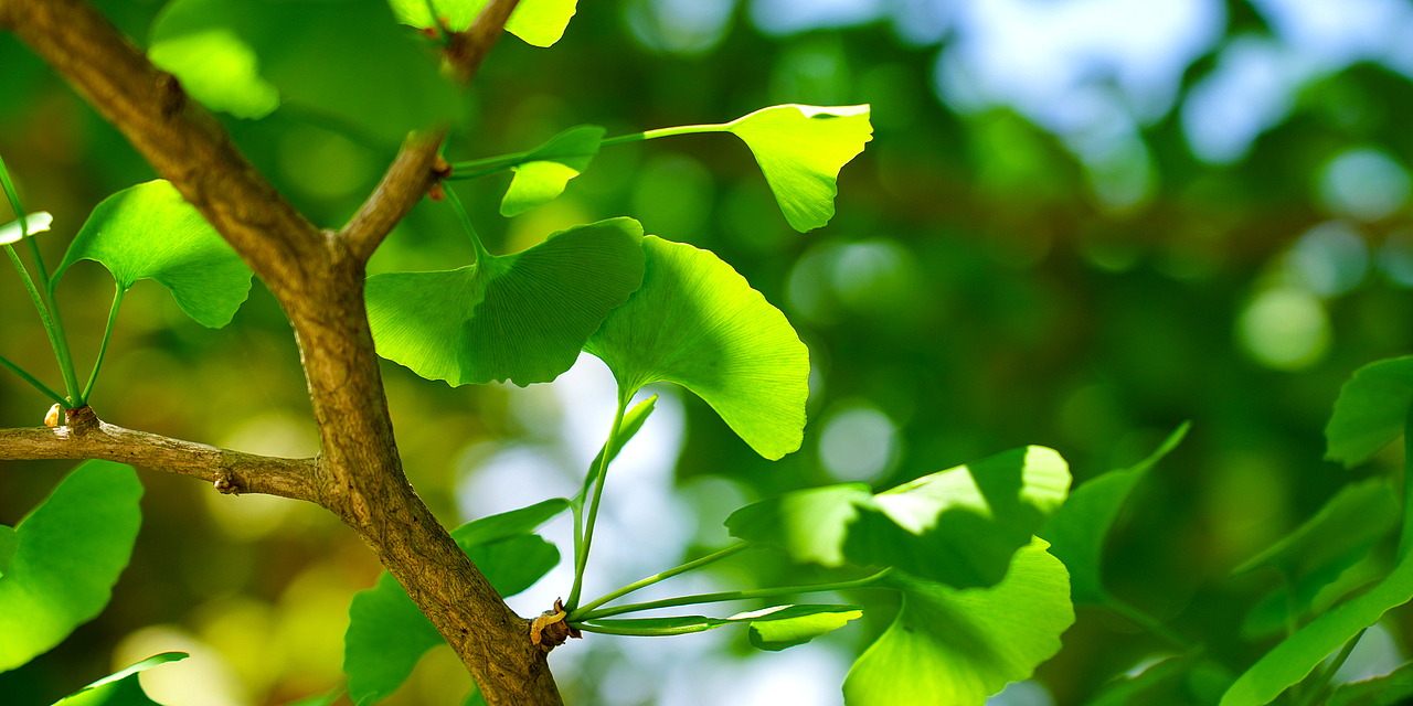 徽县江口村蝉鸣园露营基地（图ZNDA2MzU3NTIw） - 环境/建筑摄影 - 站酷设计师金徽高旭原创素材 - 站酷ZCOOL
