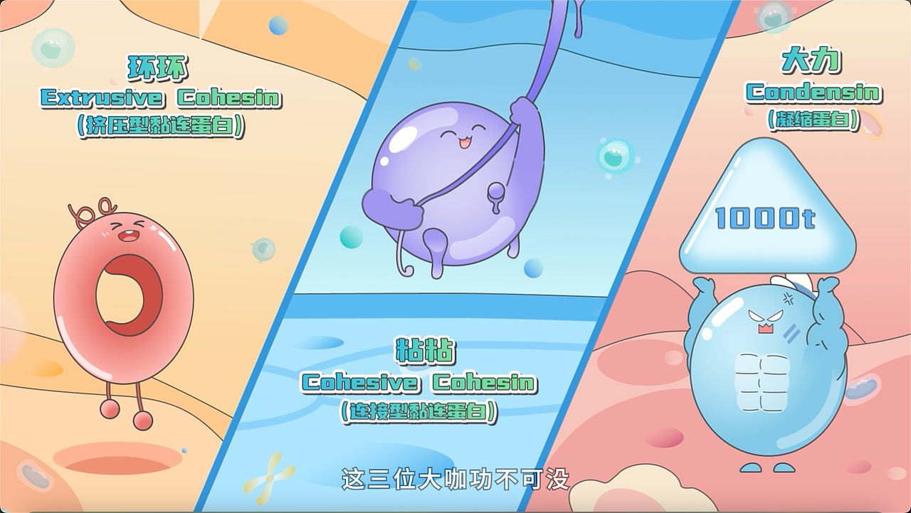 深圳湾实验室科普动画、染色体科普动画-SMC优秀员工（图ZNDA2MzU4MDI0） - Motion Graphic - 站酷设计师创云视界创云动画原创素材 - 站酷ZCOOL