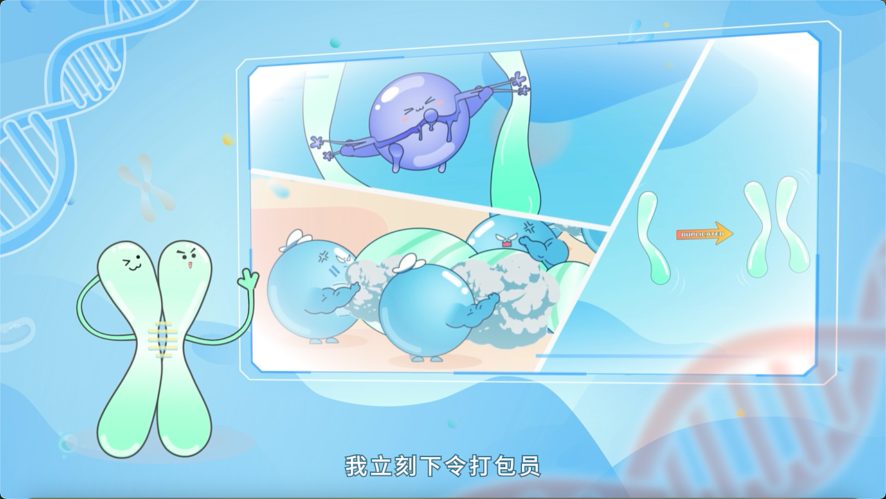 深圳湾实验室科普动画、染色体科普动画-SMC优秀员工（图ZNDA2MzU4MDIw） - Motion Graphic - 站酷设计师创云视界创云动画原创素材 - 站酷ZCOOL