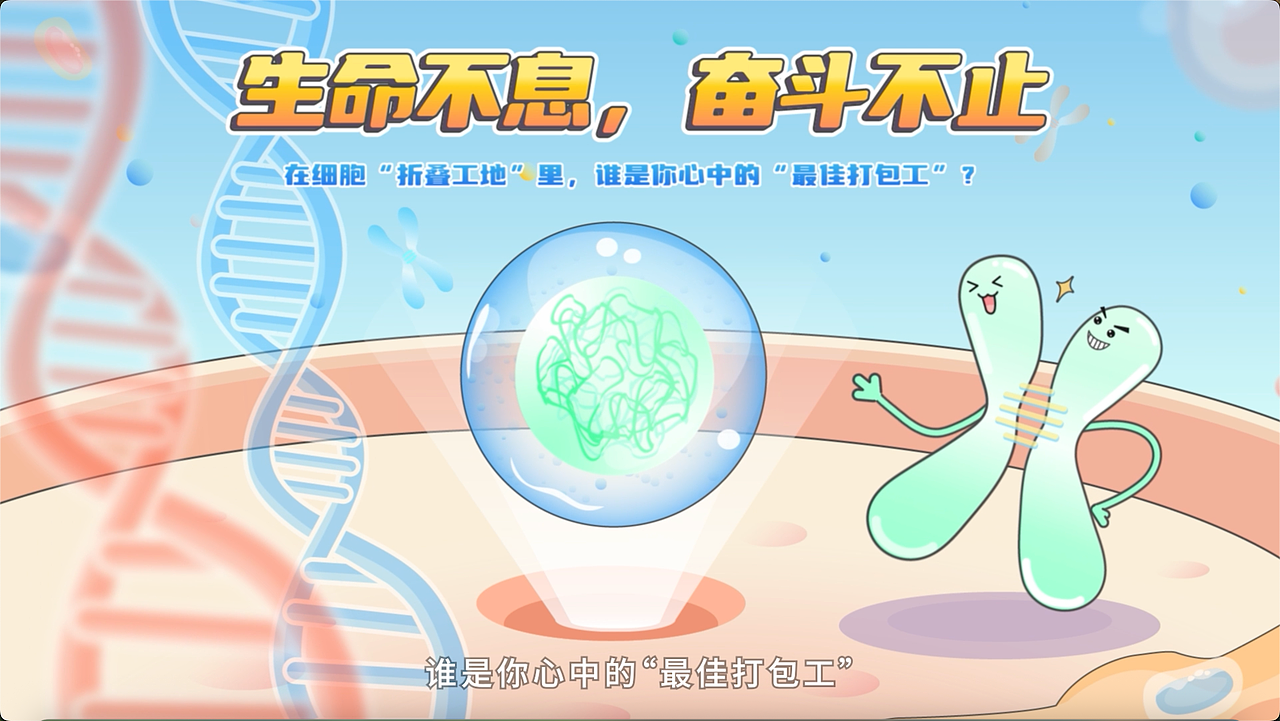 深圳湾实验室科普动画、染色体科普动画-SMC优秀员工（图ZNDA2MzU4MDMy） - Motion Graphic - 站酷设计师创云视界创云动画原创素材 - 站酷ZCOOL