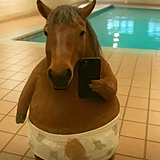 LLLsco的头像