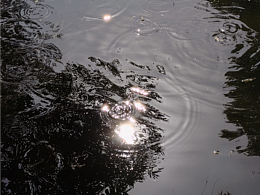 手機(jī)攝影｜公園隨拍