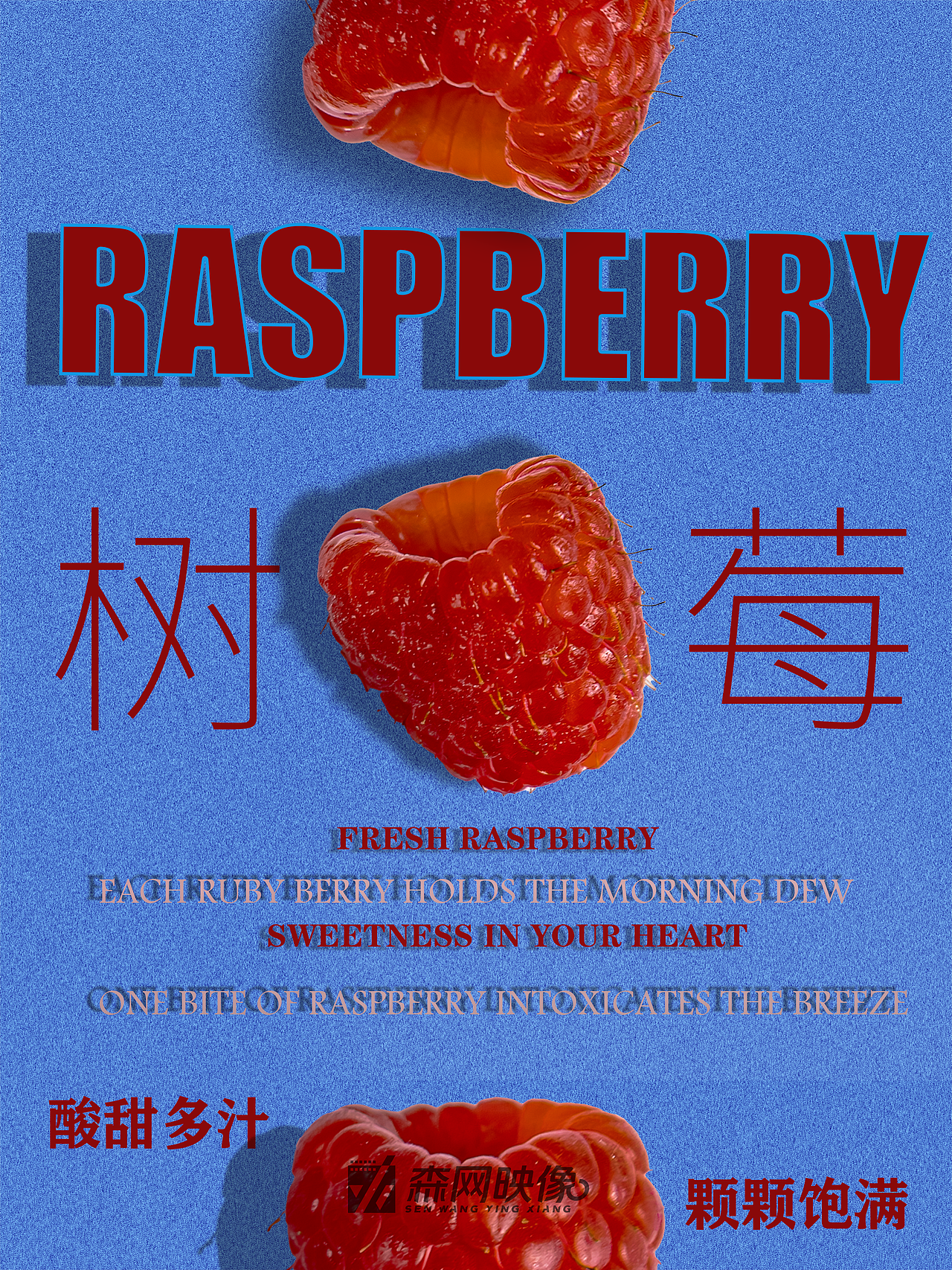 产品拍摄丨树莓（图ZNDA2MzkxMTcy） - 美食摄影 - 站酷设计师森网映像原创素材 - 站酷ZCOOL