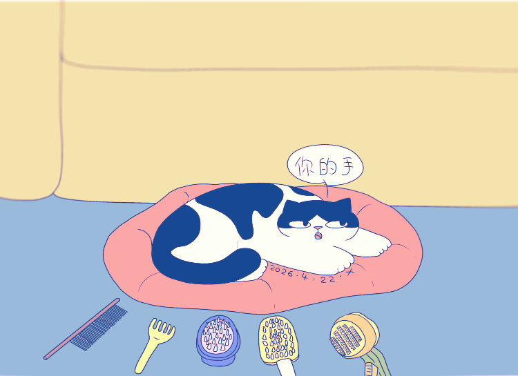 猫咪日常｜2026.4月合集（图ZNDA2NDYwMDky） - 创作习作 - 站酷设计师蟹味喵酱原创素材 - 站酷ZCOOL