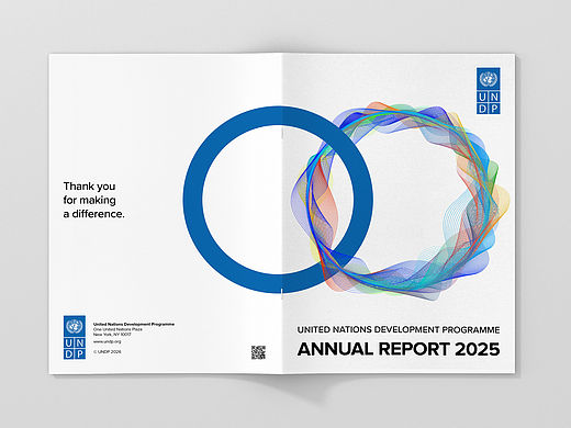 联合国年度报告 UNDP 2025