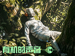 有机的声音丨机械漫游者的自然音轨