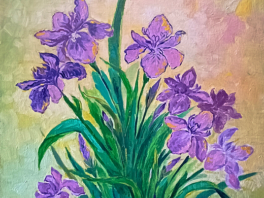 鸢尾花