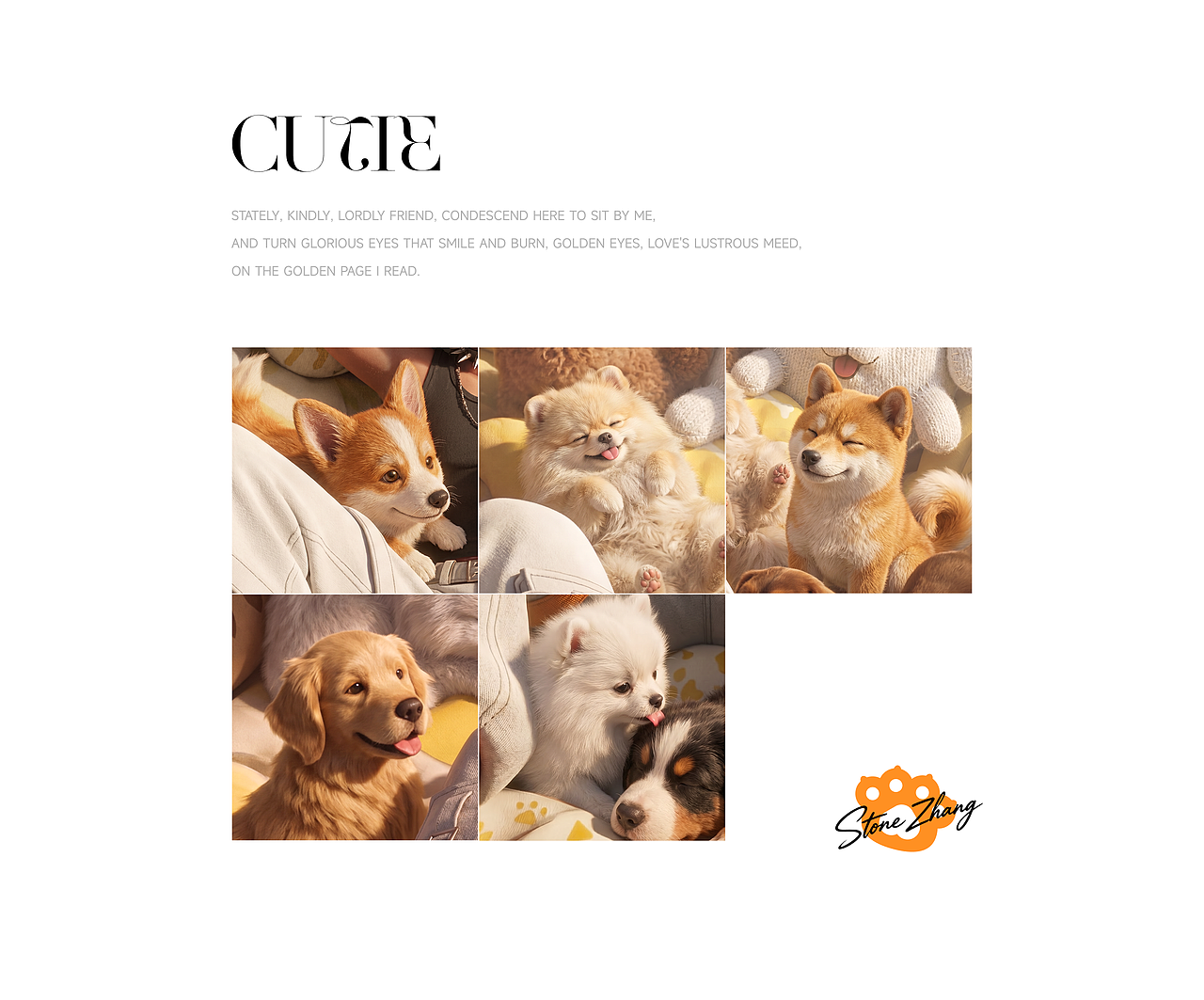 IP设计·犬系Trainer（图ZNDA2NTExODM2） - 人物/生物 - 站酷设计师我石头呢原创素材 - 站酷ZCOOL