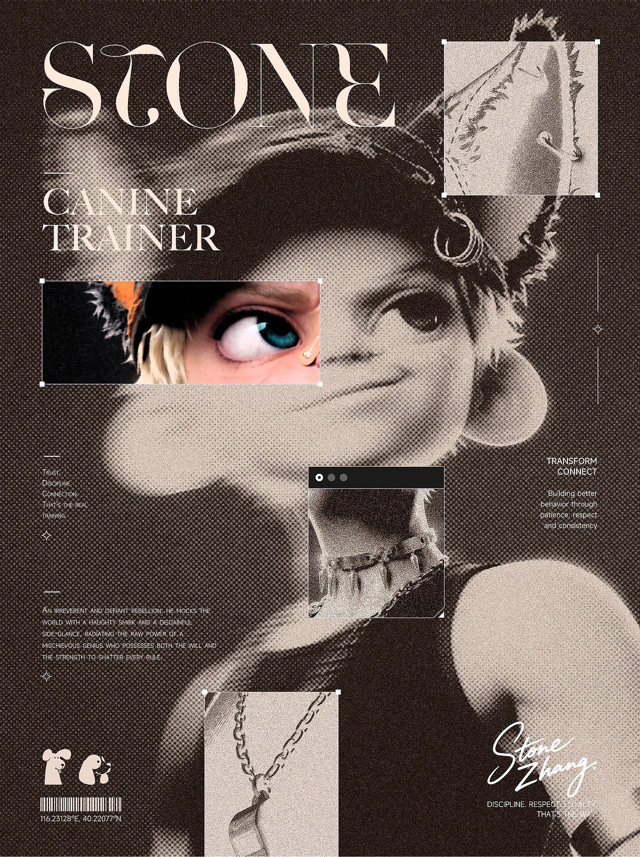 IP设计·犬系Trainer（图ZNDA2NTExOTIw） - 人物/生物 - 站酷设计师我石头呢原创素材 - 站酷ZCOOL