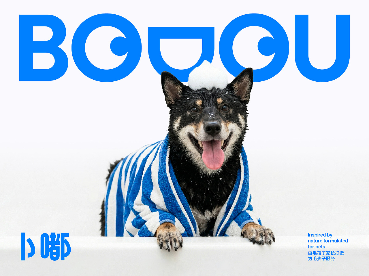 BODOU卜嘟 宠物清洁品牌包装设计（图ZNDA2NTI4Nzcy） - 品牌 - 站酷设计师pigeonstudio原创素材 - 站酷ZCOOL