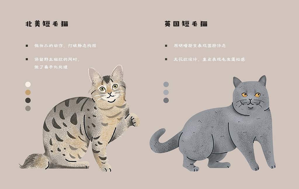 原创手绘扁平风插画案例：成套70+猫咪种类信息图设计（图ZNDA2NTM0ODM2） - 商业插画 - 站酷设计师飞屋睿原创素材 - 站酷ZCOOL