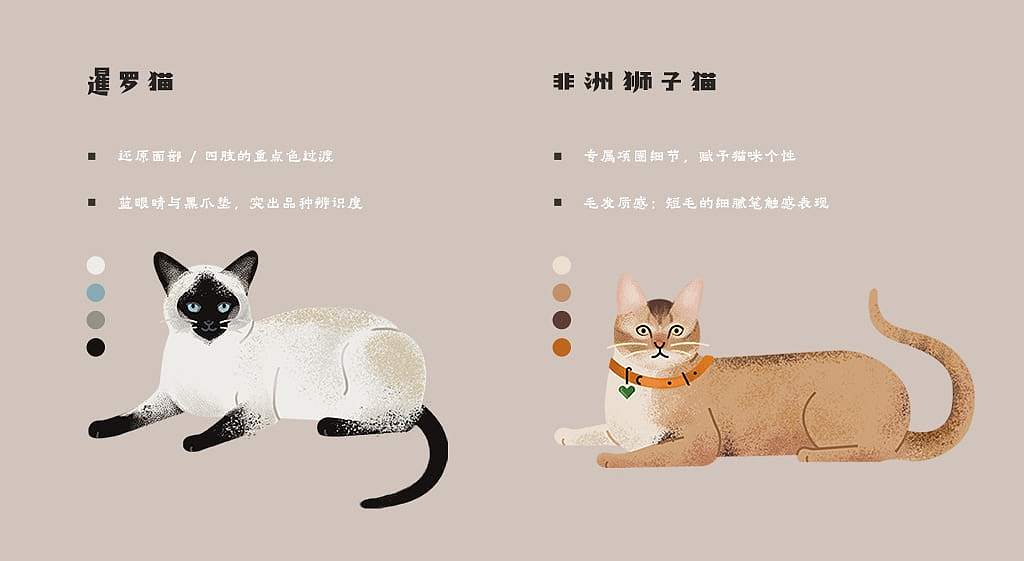 原创手绘扁平风插画案例：成套70+猫咪种类信息图设计（图ZNDA2NTM0ODQw） - 商业插画 - 站酷设计师飞屋睿原创素材 - 站酷ZCOOL