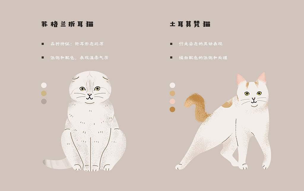 原创手绘扁平风插画案例：成套70+猫咪种类信息图设计（图ZNDA2NTM0ODQ0） - 商业插画 - 站酷设计师飞屋睿原创素材 - 站酷ZCOOL