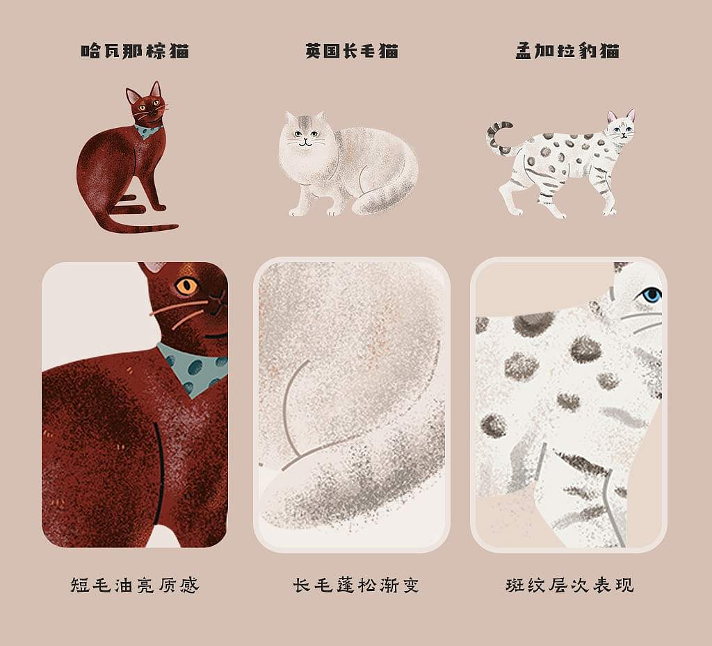 原创手绘扁平风插画案例：成套70+猫咪种类信息图设计（图ZNDA2NTM0ODcy） - 商业插画 - 站酷设计师飞屋睿原创素材 - 站酷ZCOOL