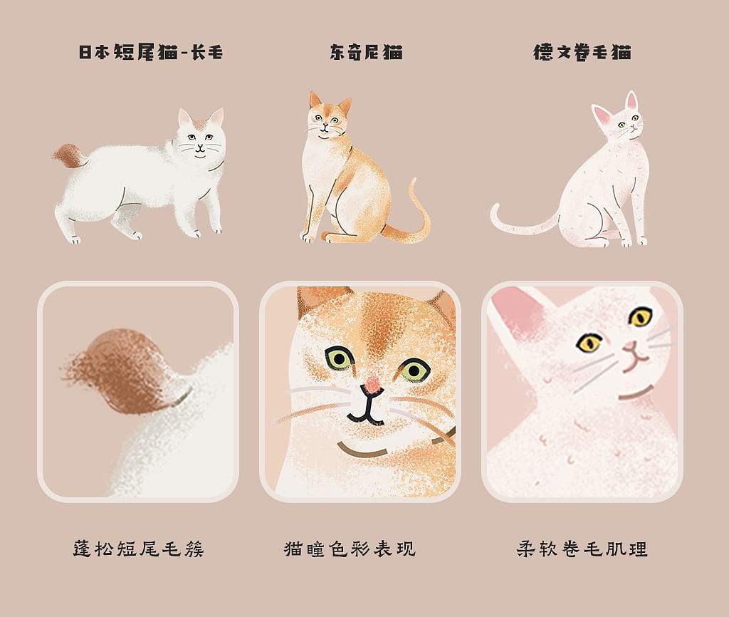 原创手绘扁平风插画案例：成套70+猫咪种类信息图设计（图ZNDA2NTM0ODc2） - 商业插画 - 站酷设计师飞屋睿原创素材 - 站酷ZCOOL